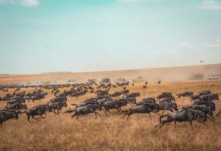 Serengeti & Zanzibar | The Ultimate Tanzania Safari and Beach Holiday