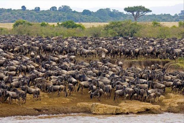 Lake Natron