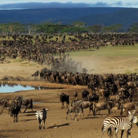 Lake Natron