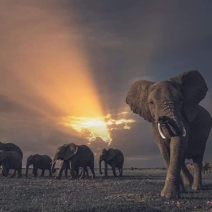 Lake Natron