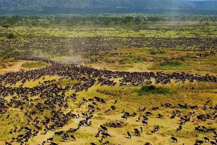 Arusha national park