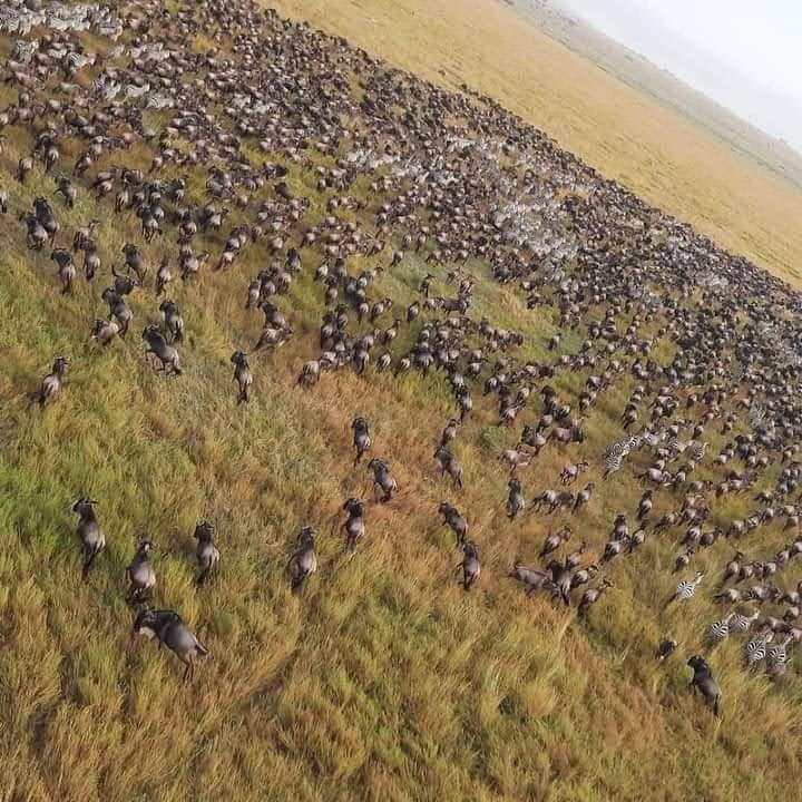 Arusha national park
