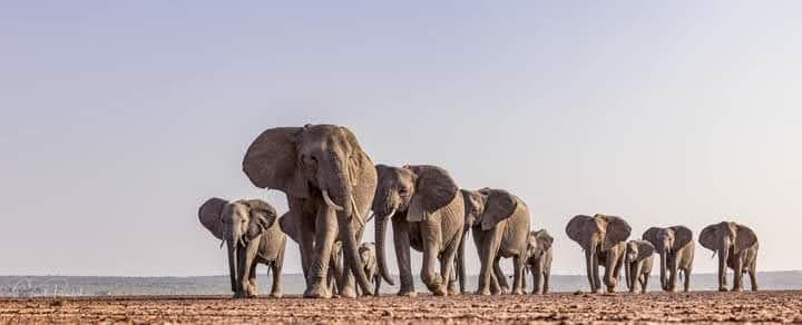 Which Kilimanjaro Route Is Best? Your Ultimate Route Selection Guide