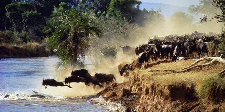 Nairobi National Park