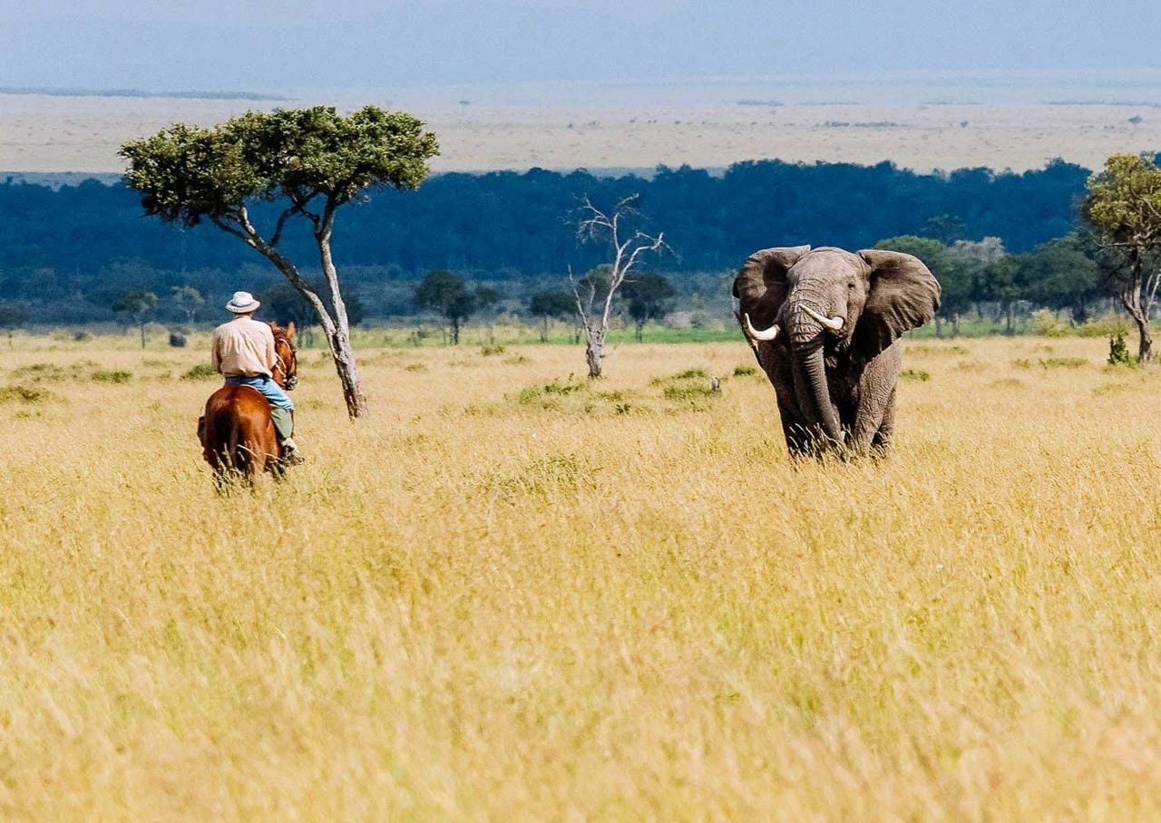 Samburu National Reserve