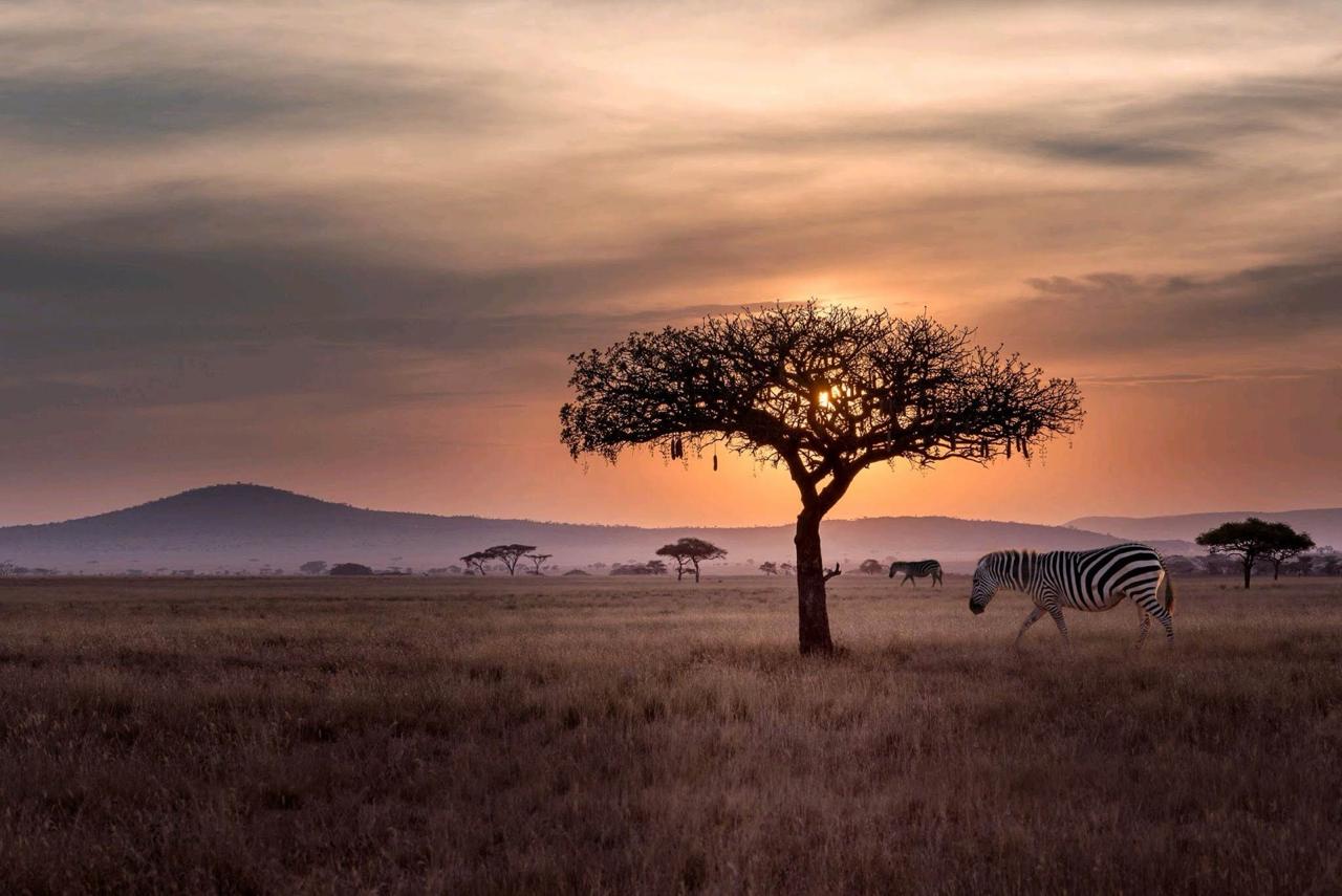 Ol Pejeta Conservancy