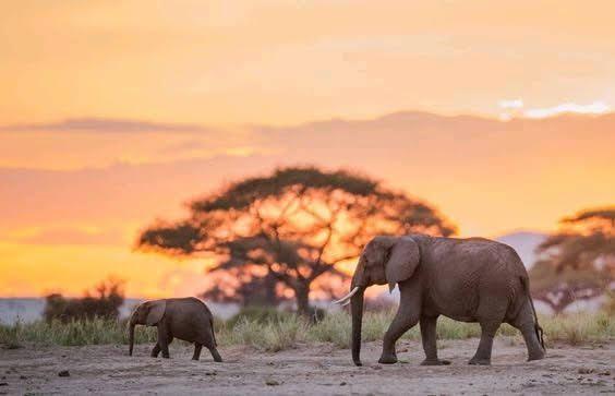Katavi National Park