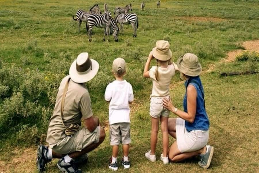 Central vs Northern Serengeti: Which Is Better?