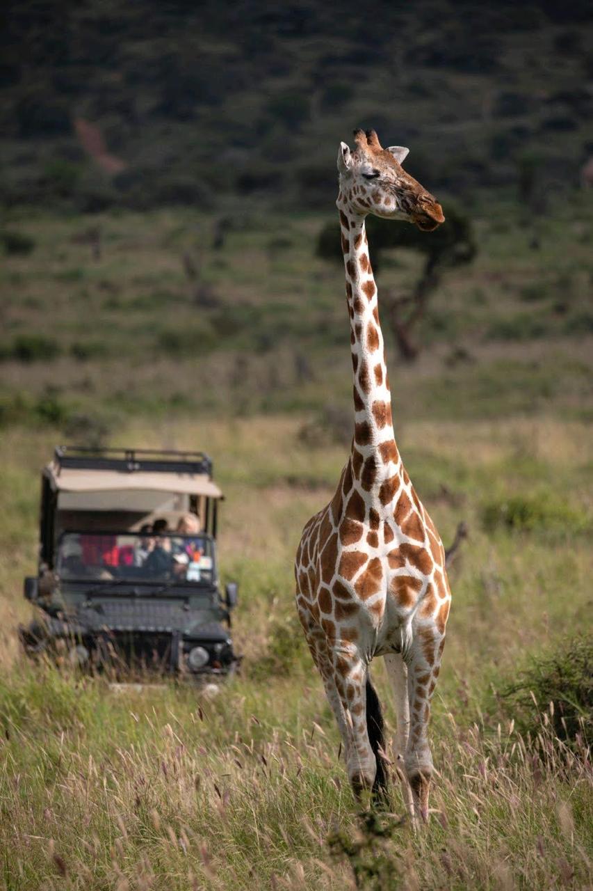 Authentic Maasai Cultural Immersion