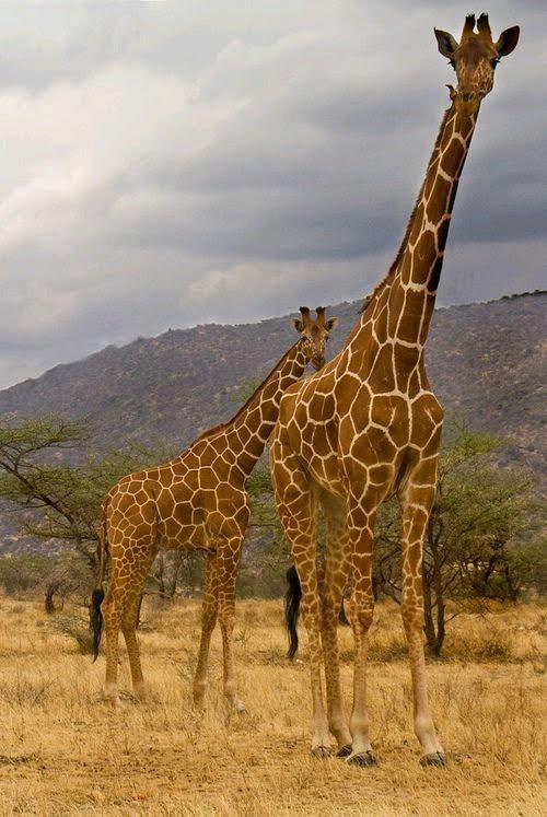 Usambara Mountains