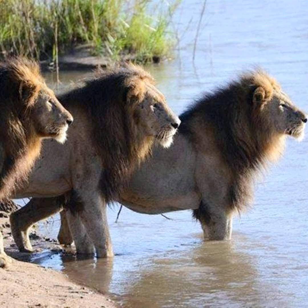 Is Tanzania Worth Visiting? | The Ultimate Tanzania Safari Destination Guide