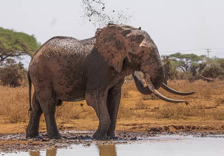 How Much Does It Cost to Climb Kilimanjaro? A Complete Price Guide