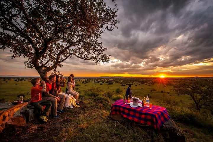 Tanzania Safari FAQ   Your Complete Guide to Planning a Safari in Tanzania
