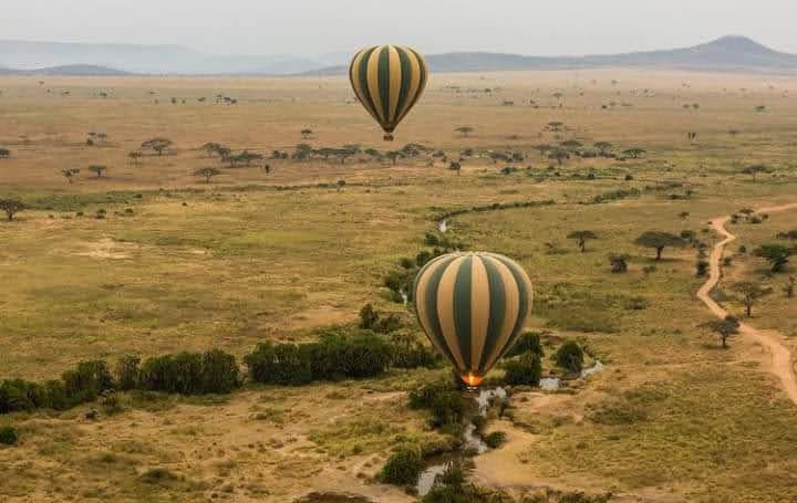 Tanzania Safari Packing List: What to Pack for Your African Adventure