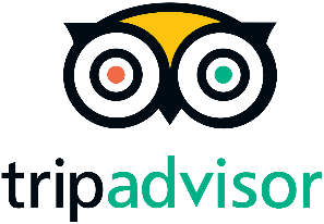 TripAdvisor Reviews