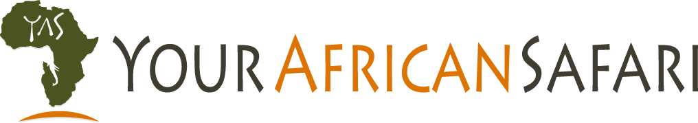 Your African Safari